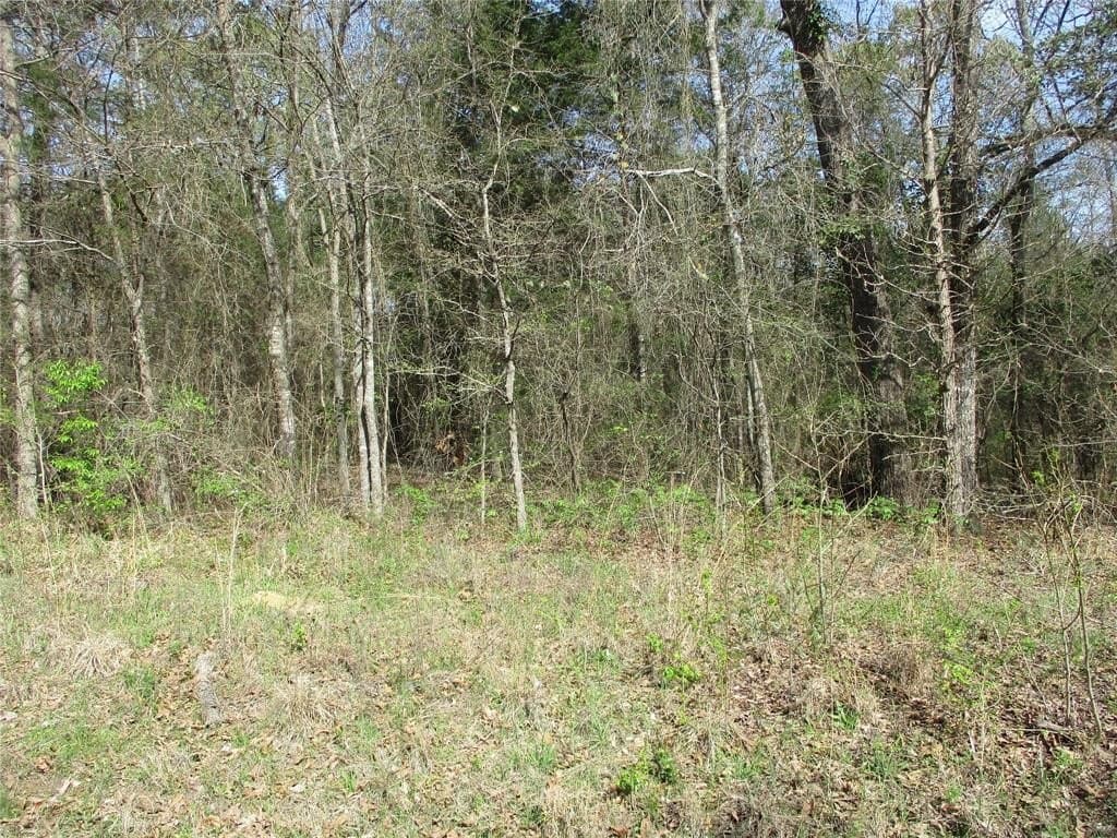6.1 acres in Wood County - photo 2