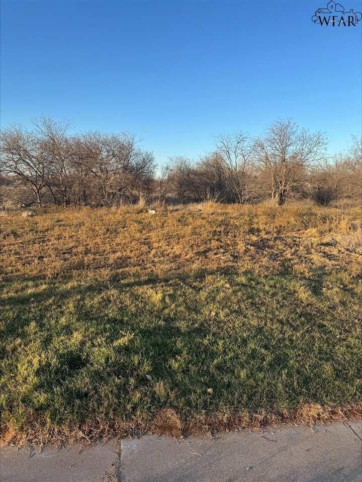 0.85 acres in Wichita County - photo 3