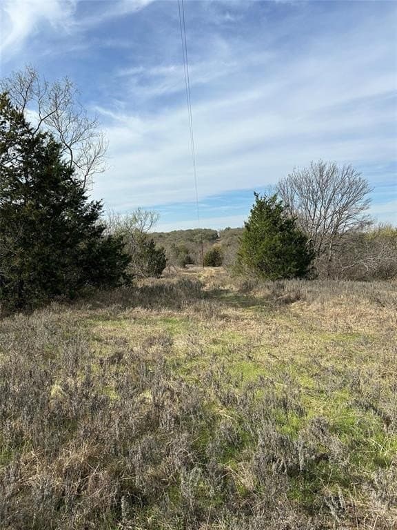 96.23 acres in Cooke County - photo 2