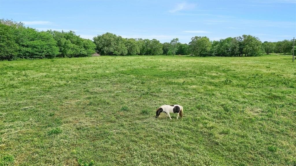 26.88 acres in Cooke County - photo 9