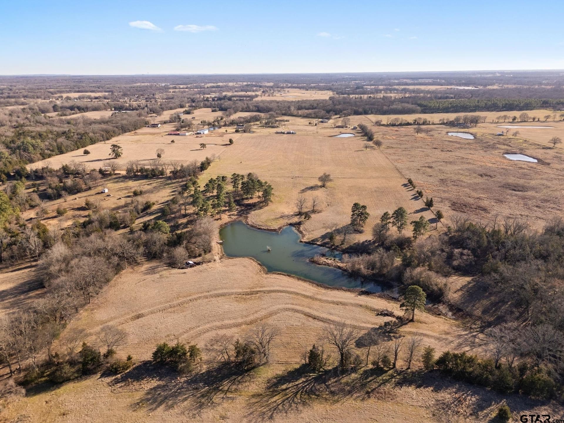 40 acres in Titus County - photo 2