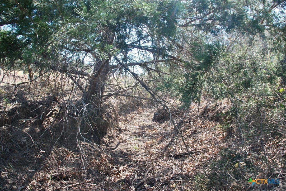 15 acres in Fayette County - photo 42