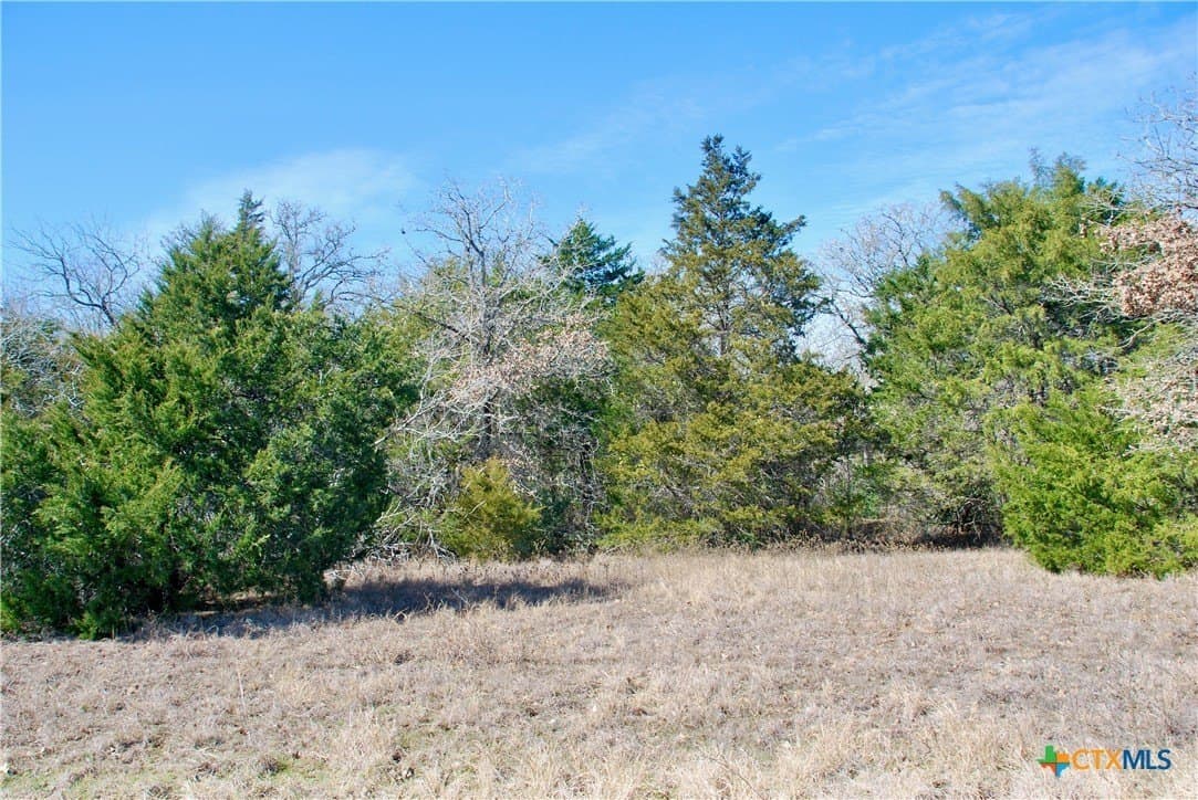 15 acres in Fayette County - photo 41