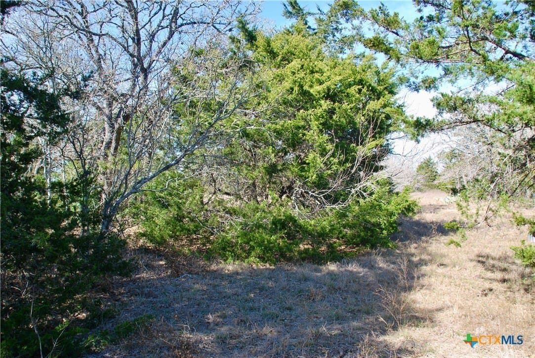 15 acres in Fayette County - photo 43