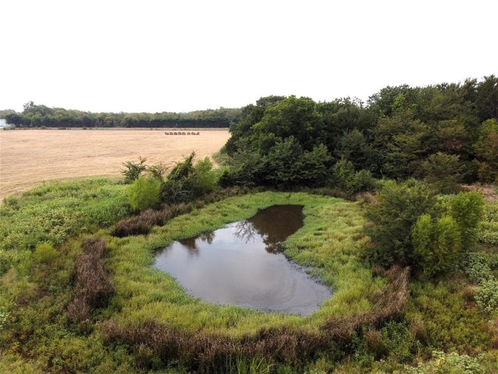 38.93 acres in Hopkins County - photo 6