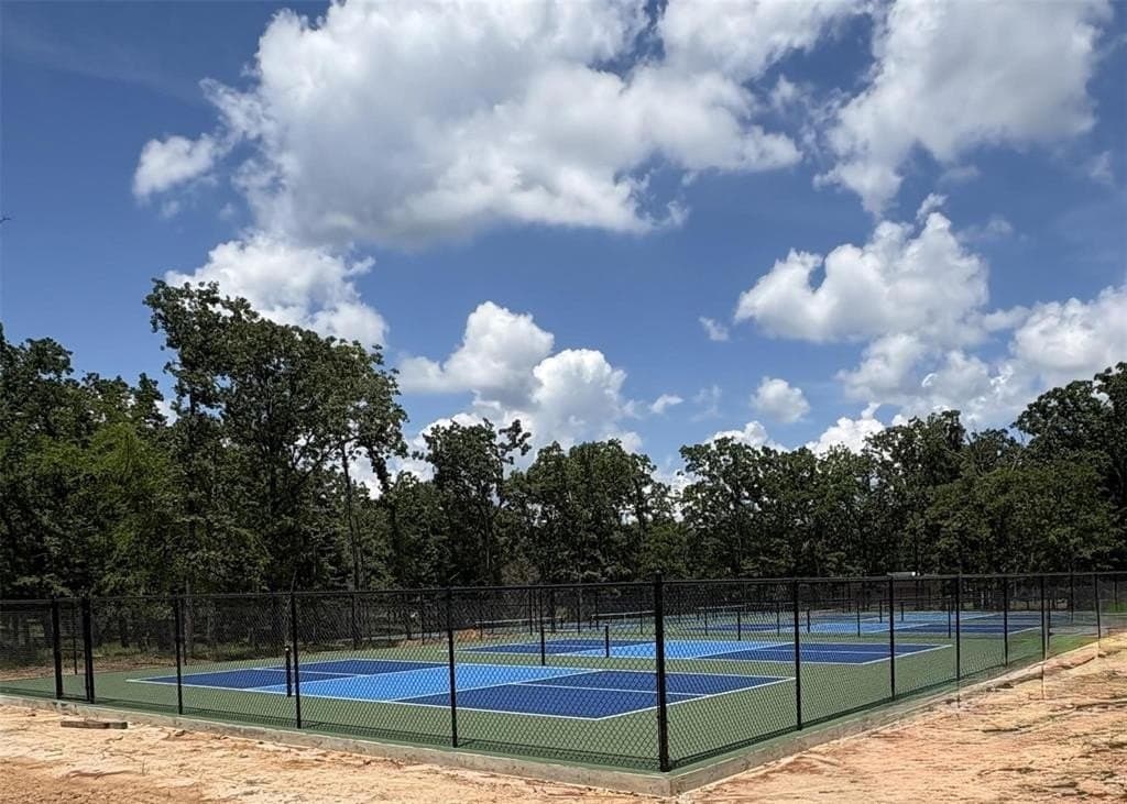 0.48 acres in Henderson County - photo 2