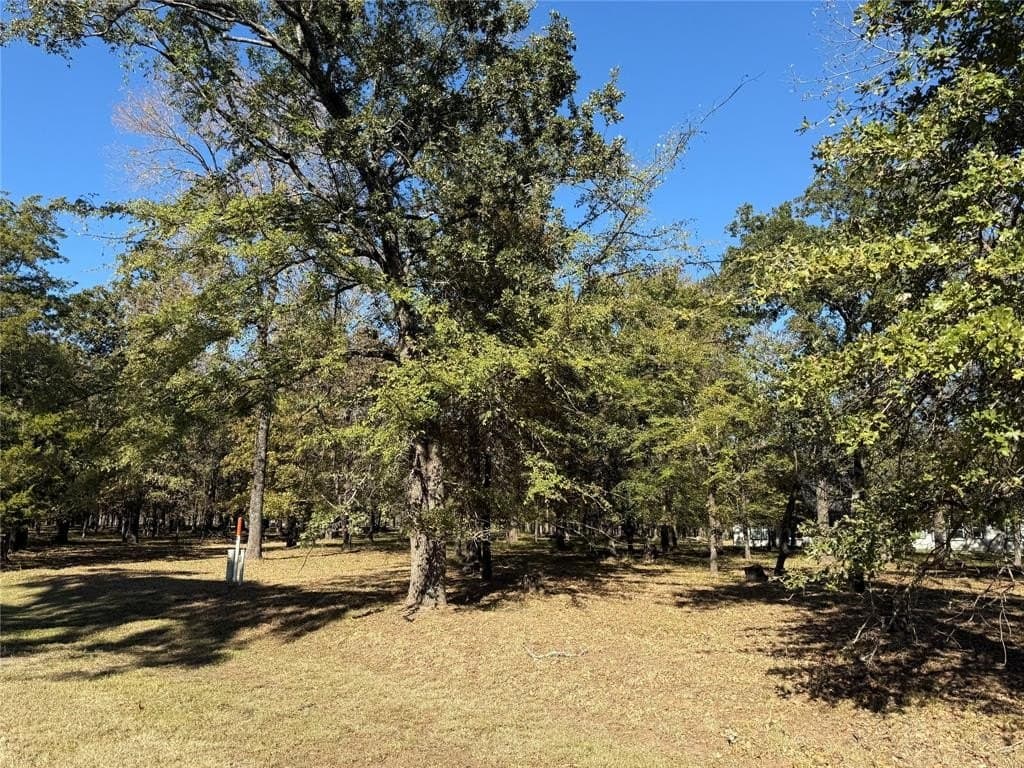 0.48 acres in Henderson County - photo 11