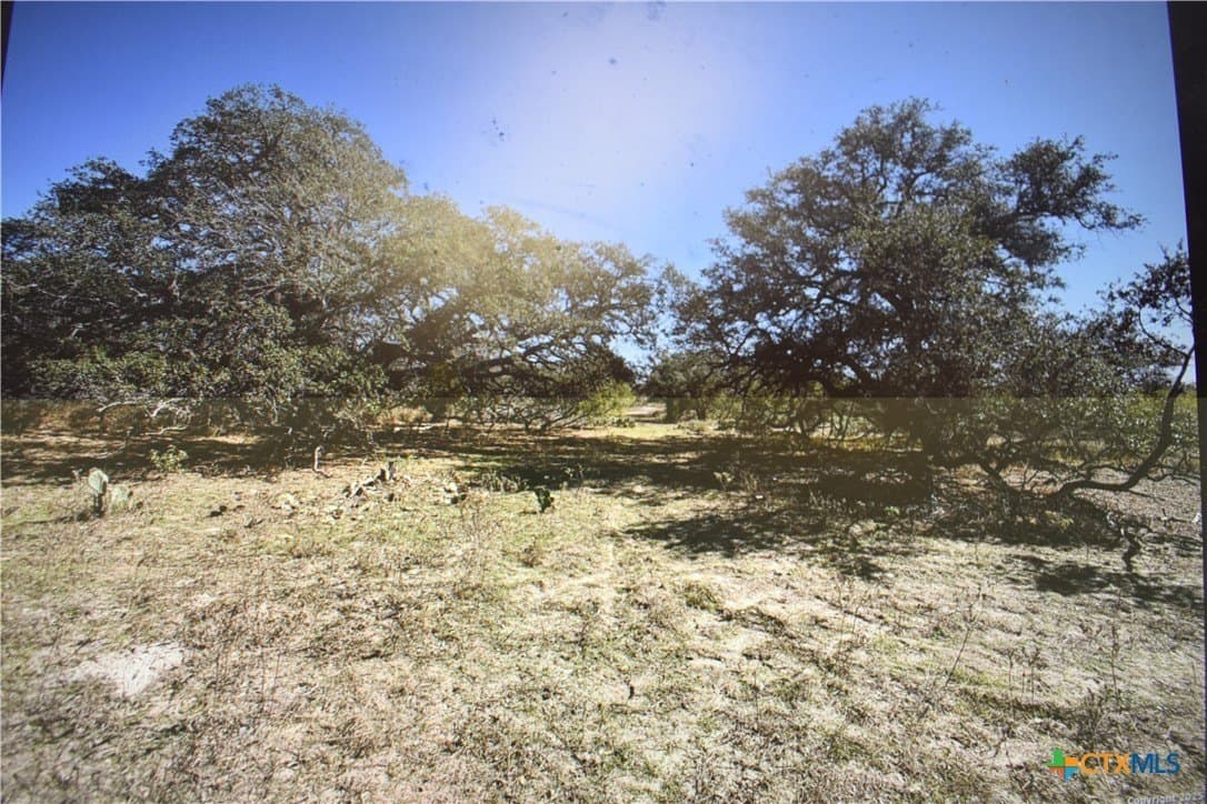 40 acres in Atascosa County - photo 4