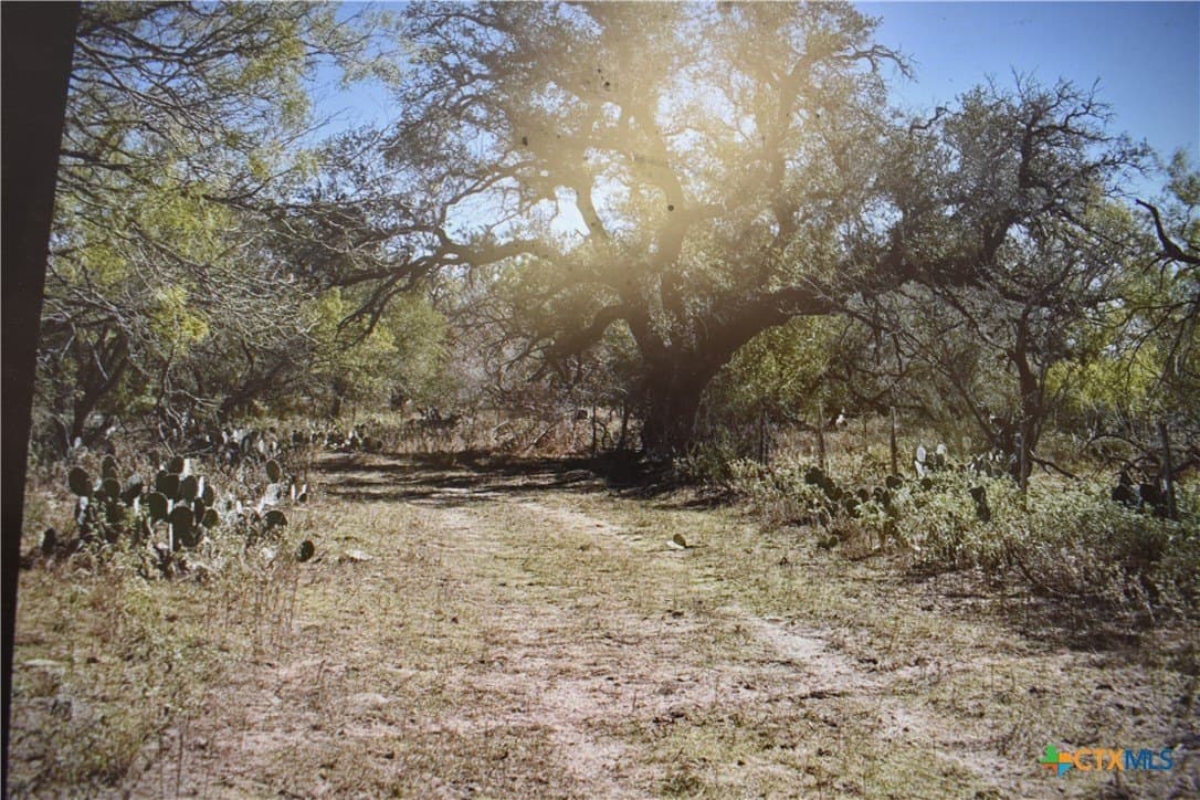 40 acres in Atascosa County - photo 3