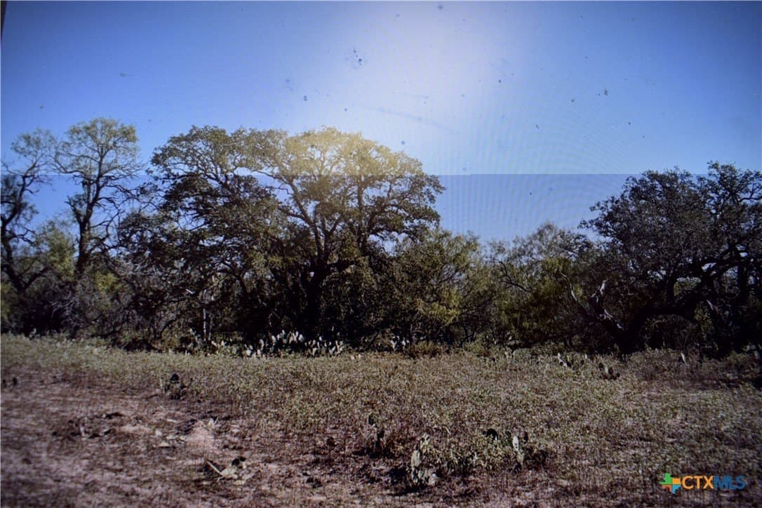 40 acres in Atascosa County - photo 2