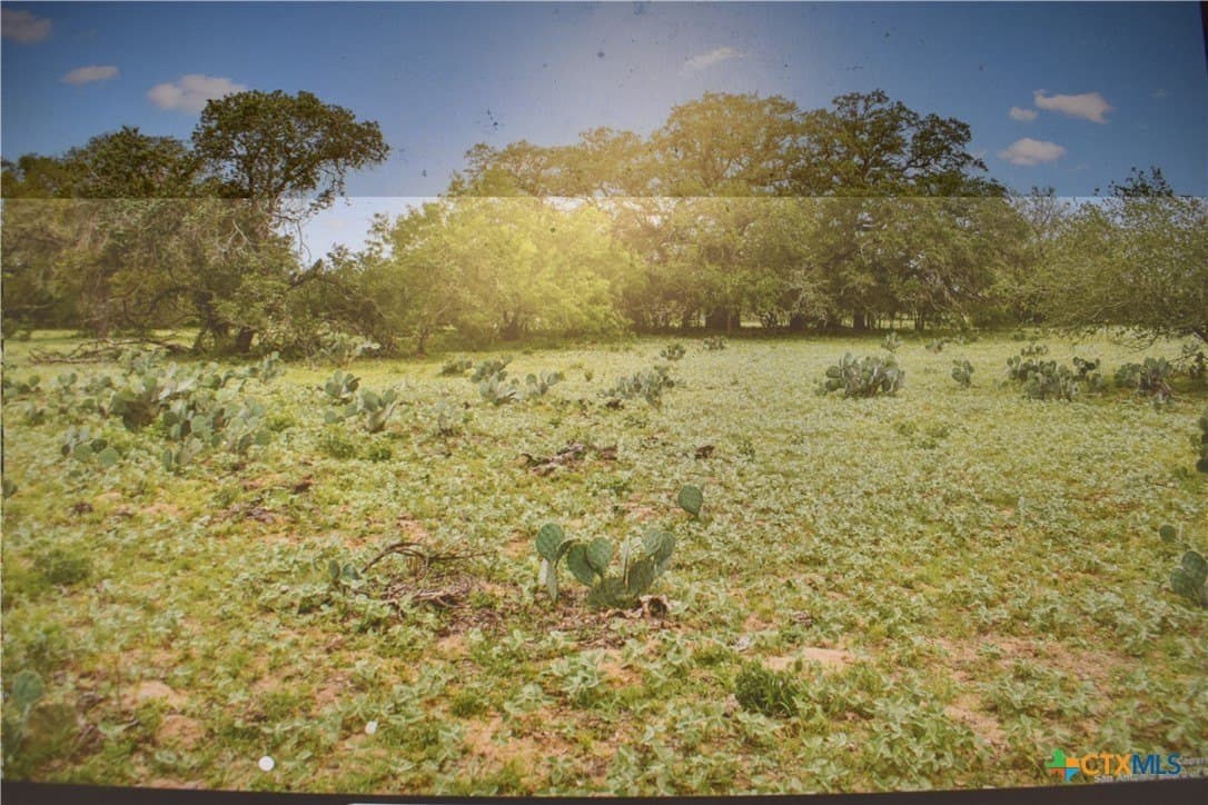 40 acres in Atascosa County - photo 5