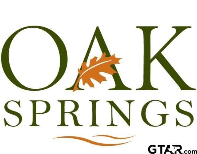 15154 Belle Springs Cv - Lot 18