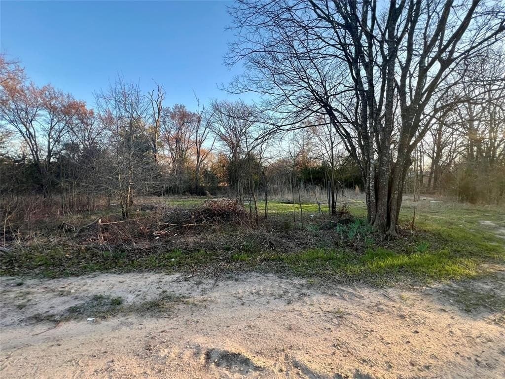 0.25 acres in Hunt County - photo 5
