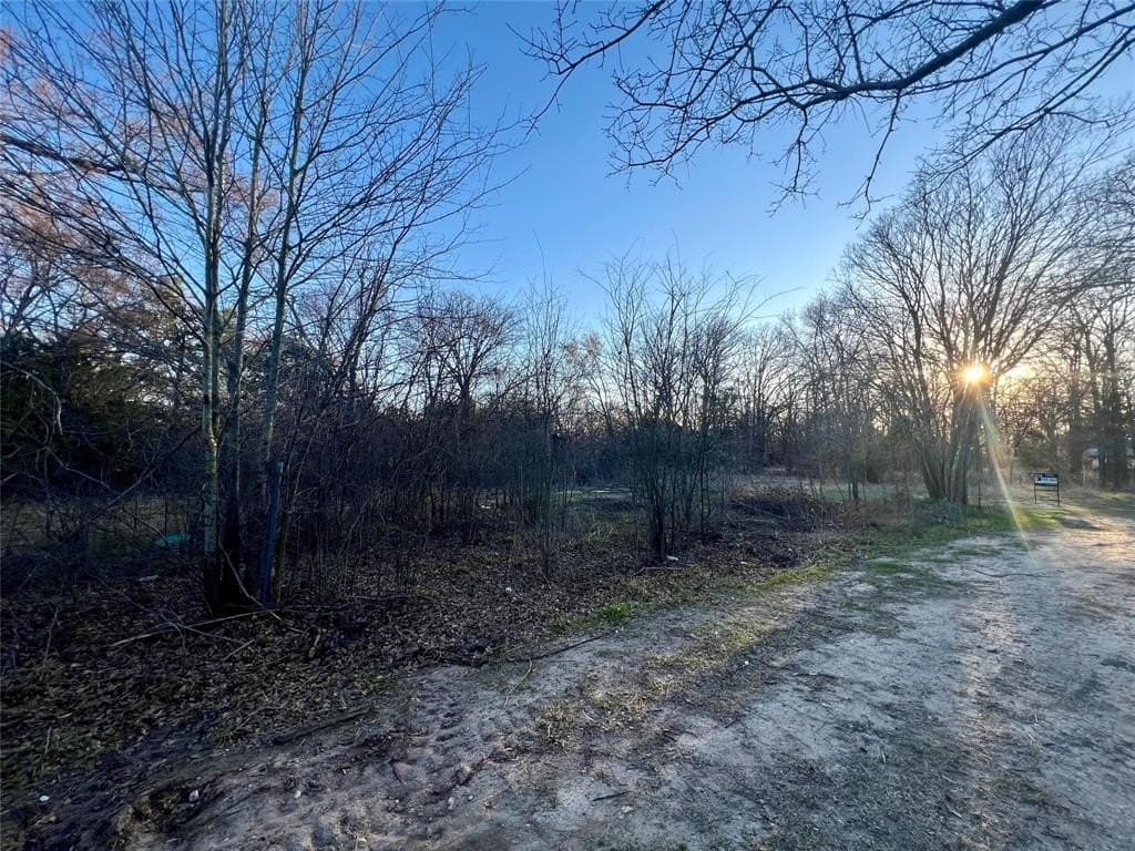 0.25 acres in Hunt County - photo 3