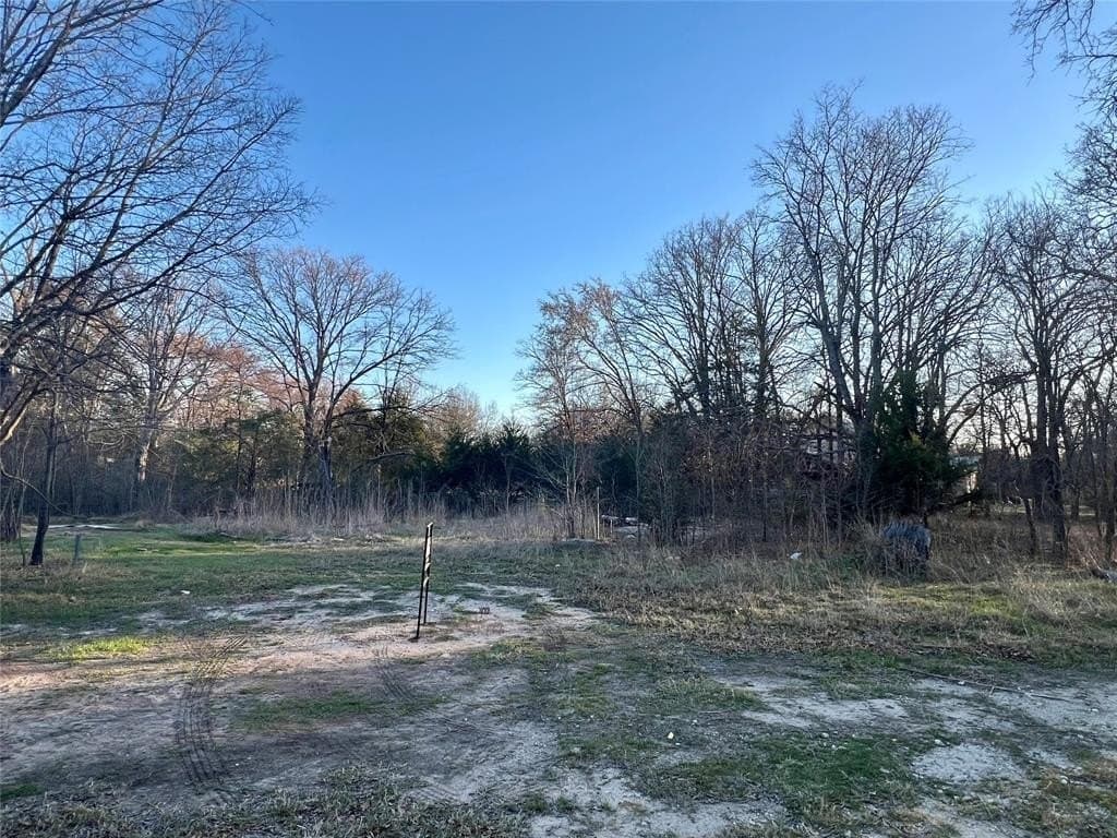0.25 acres in Hunt County - photo 2