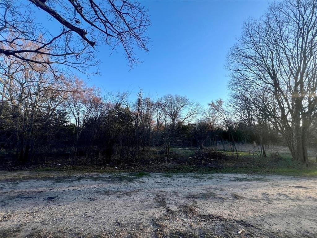 0.25 acres in Hunt County - photo 4