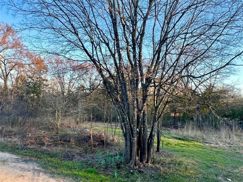 0.25 acres in Hunt County - photo 6