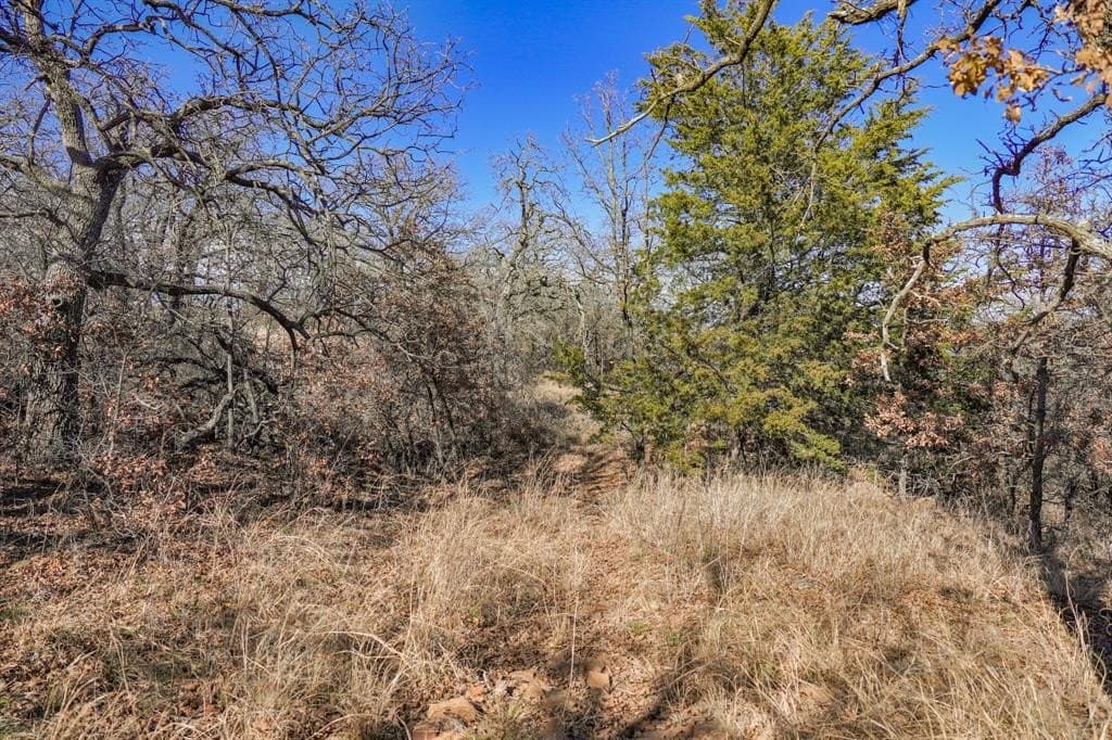 11 acres in Jack County - photo 13