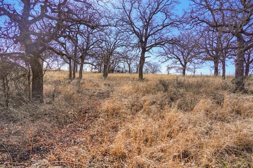 11 acres in Jack County - photo 18
