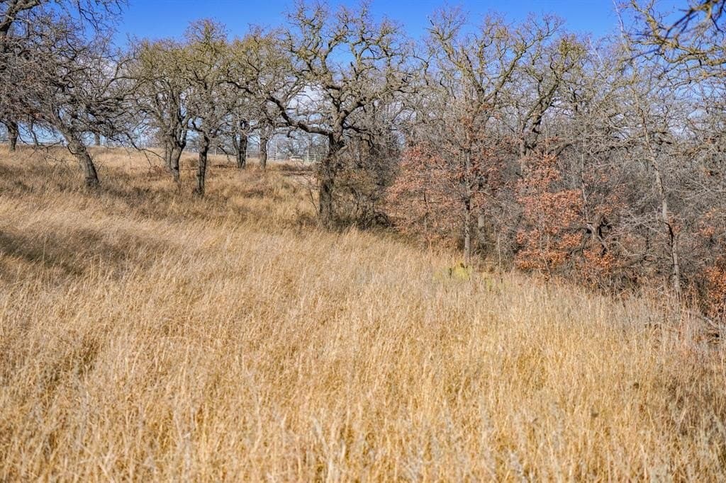 11 acres in Jack County - photo 12