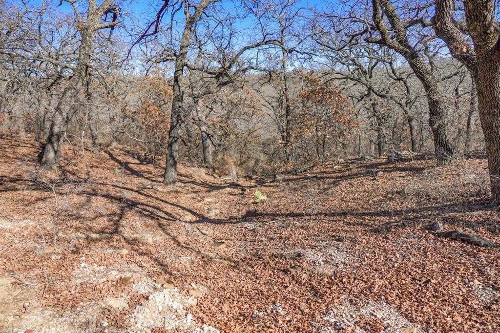 11 acres in Jack County - photo 17