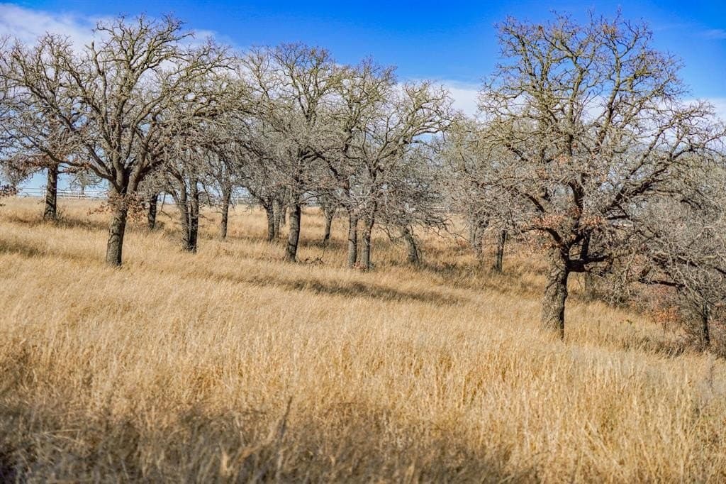 11 acres in Jack County - photo 11