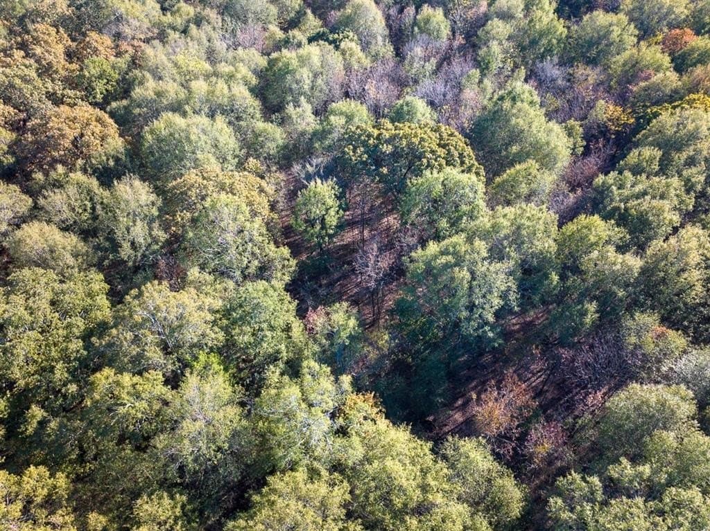 20 acres in Red River County - photo 8