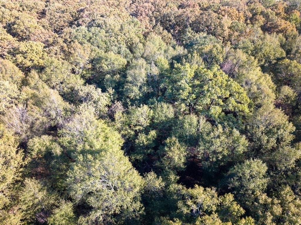 20 acres in Red River County - photo 15