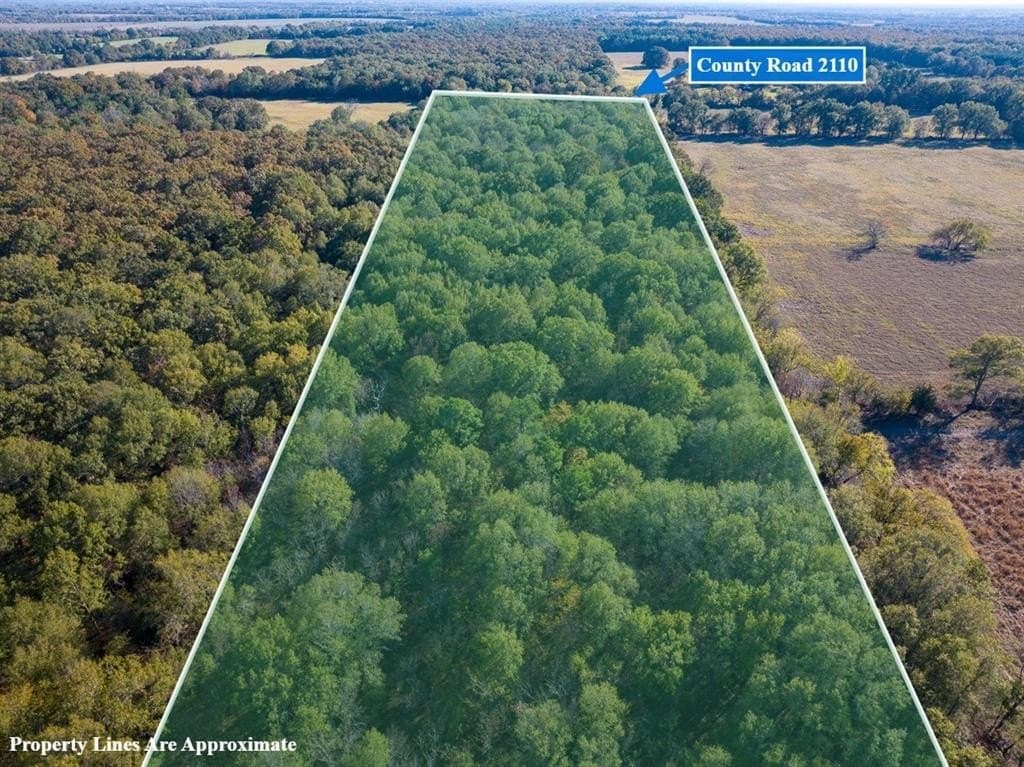 20 acres in Red River County - photo 2