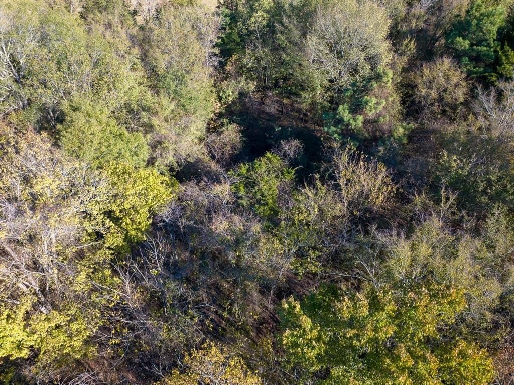 20 acres in Red River County - photo 10