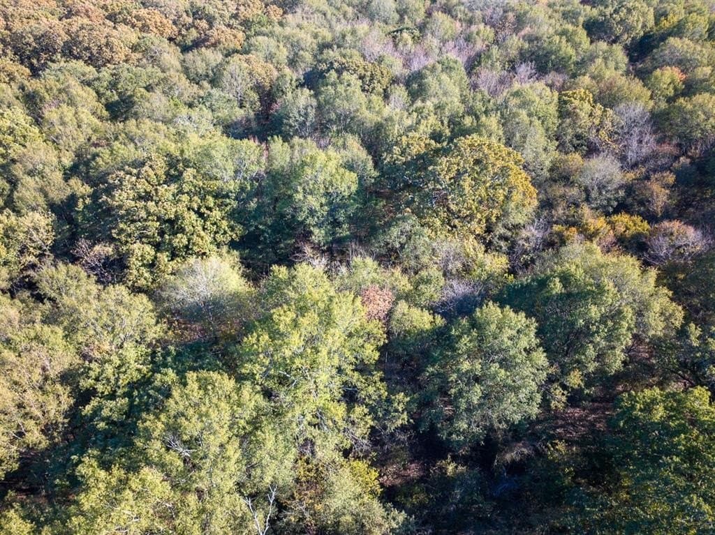 20 acres in Red River County - photo 7