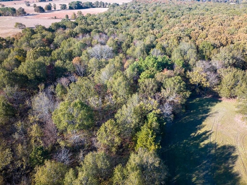 20 acres in Red River County - photo 14