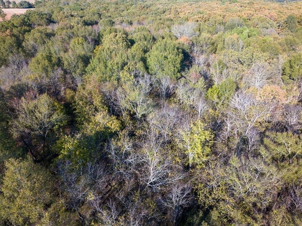 20 acres in Red River County - photo 13