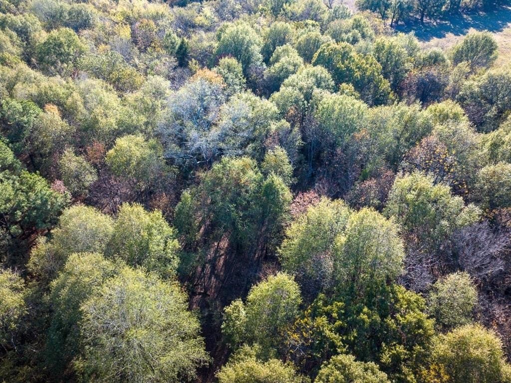 20 acres in Red River County - photo 9