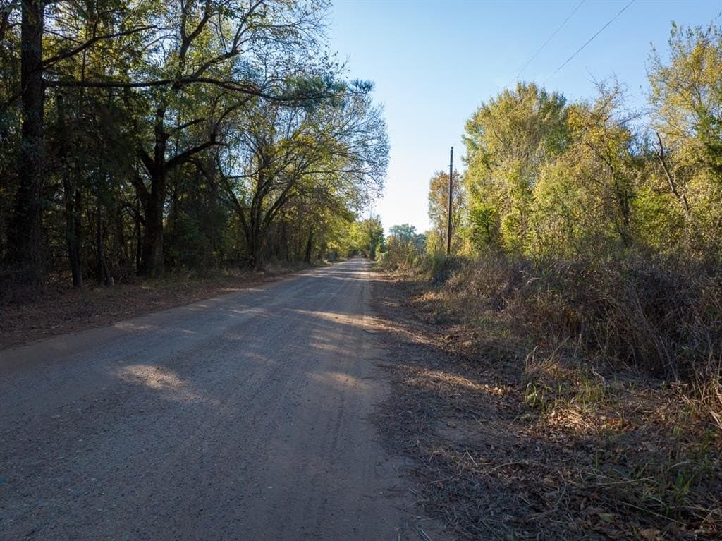 20 acres in Red River County - photo 4