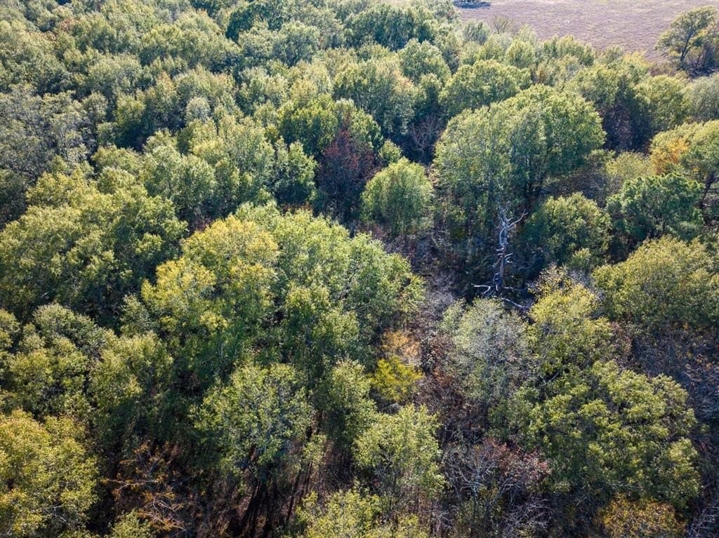 20 acres in Red River County - photo 6