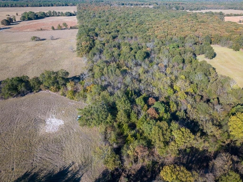 20 acres in Red River County - photo 12