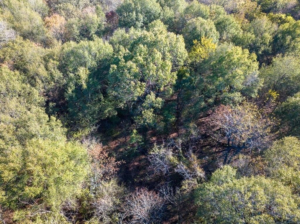 20 acres in Red River County - photo 5
