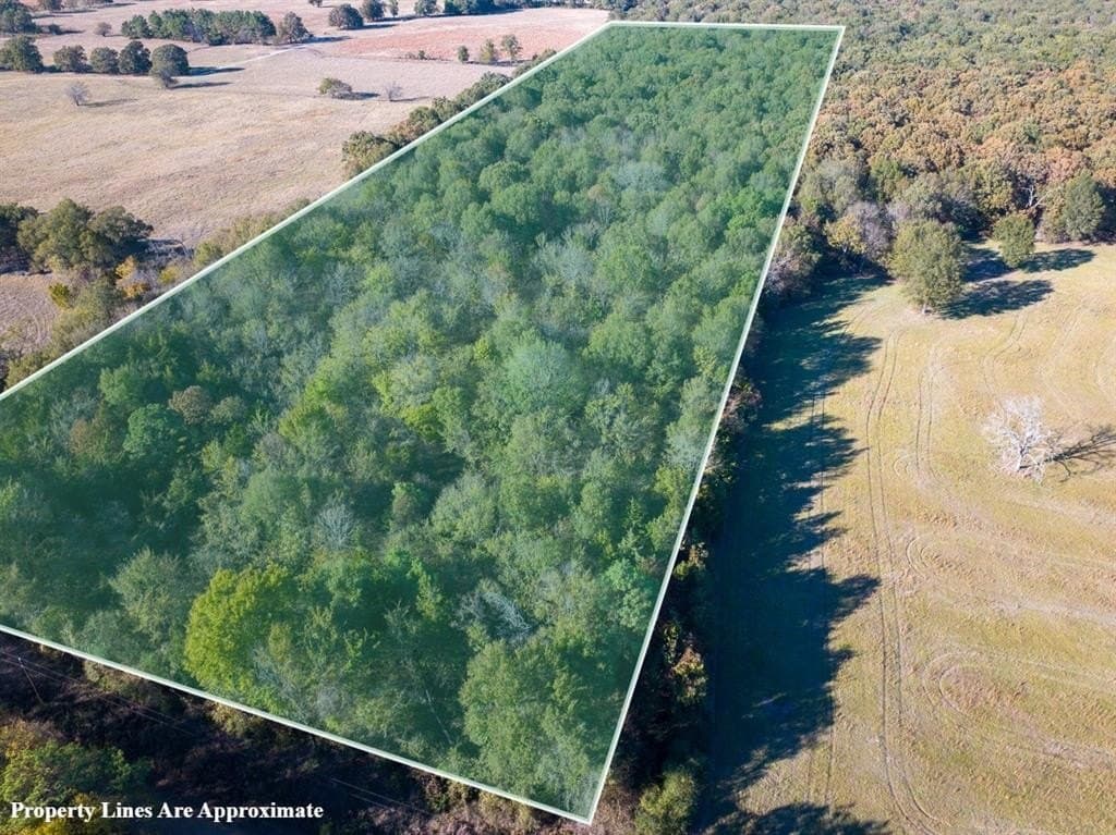 20 acres in Red River County - photo 3