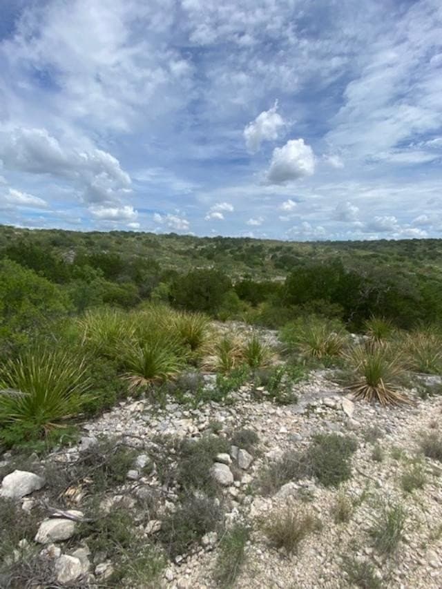489.73 acres in Kinney County - photo 3