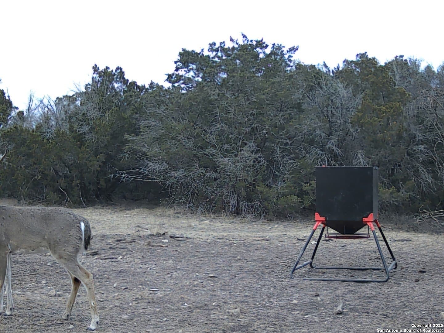 134.5 acres in Edwards County - photo 7