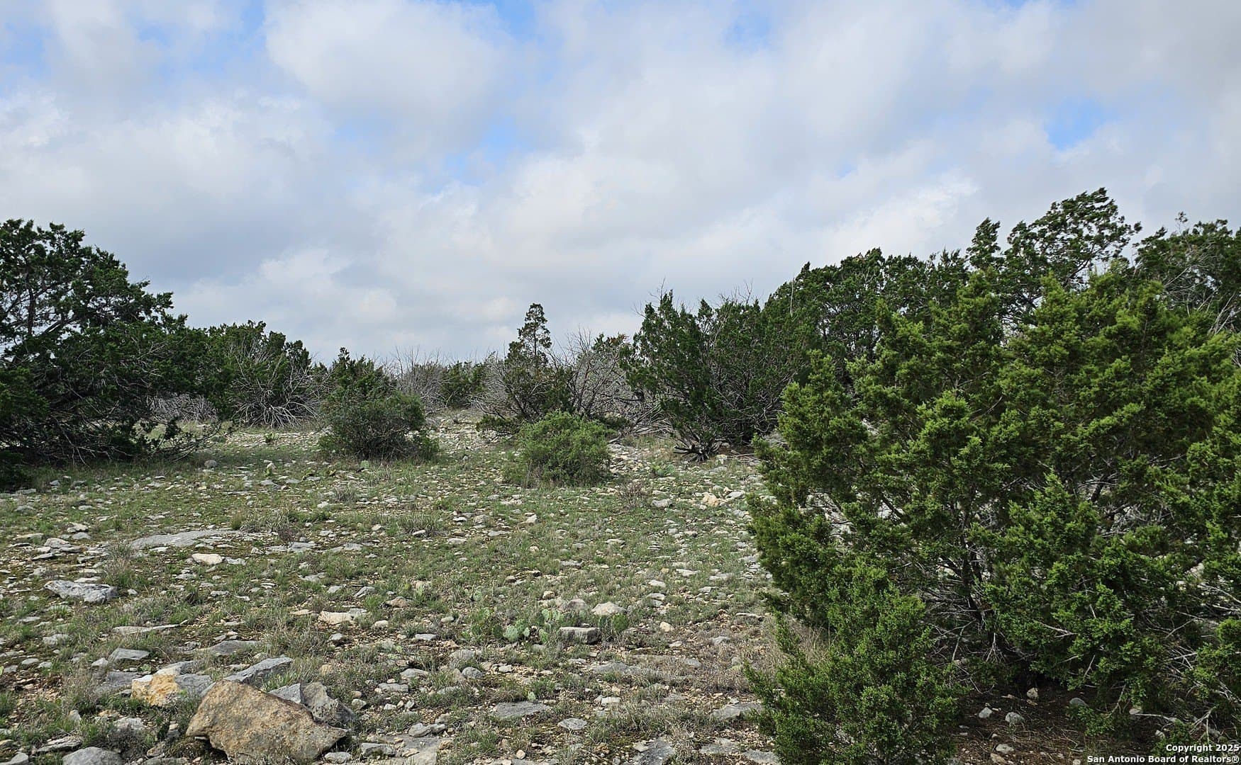 134.5 acres in Edwards County - photo 29
