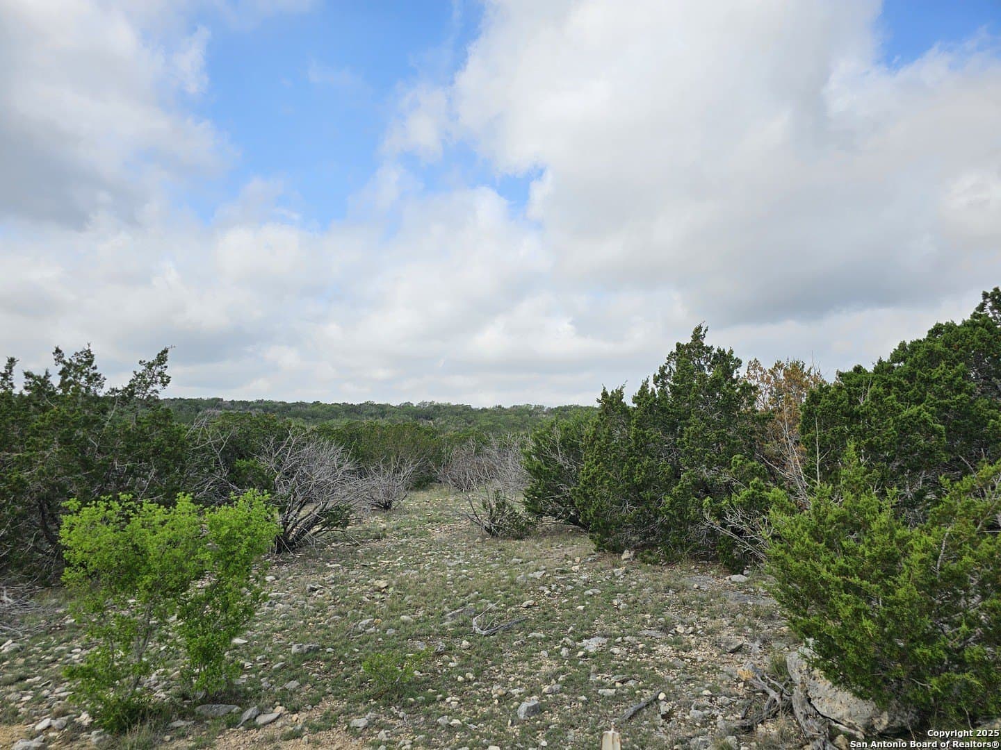 134.5 acres in Edwards County - photo 31