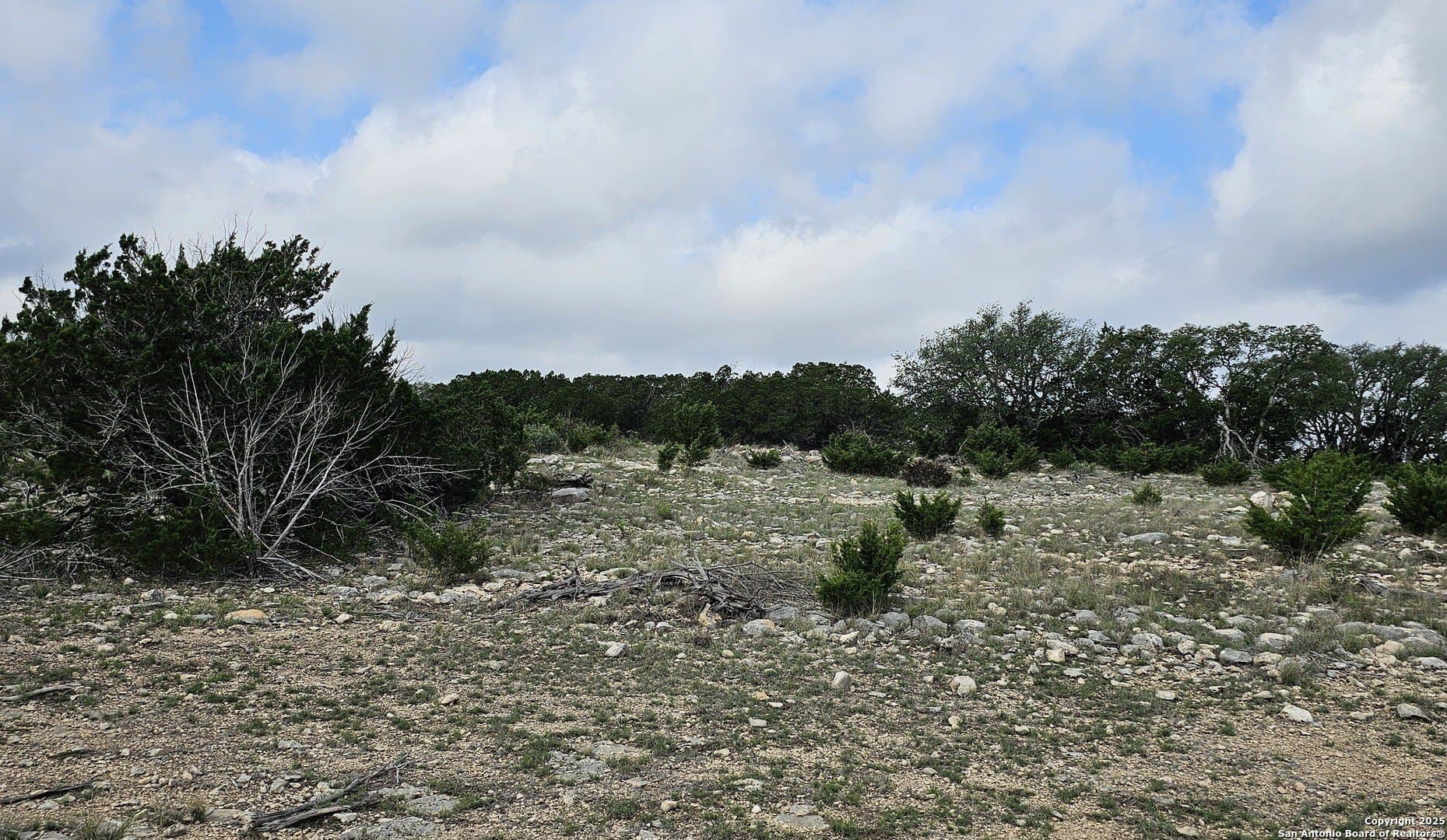134.5 acres in Edwards County - photo 25