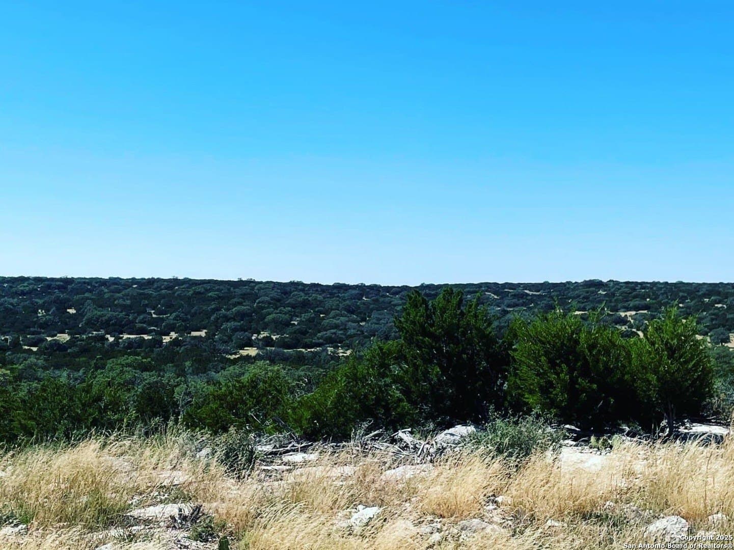 134.5 acres in Edwards County - photo 15