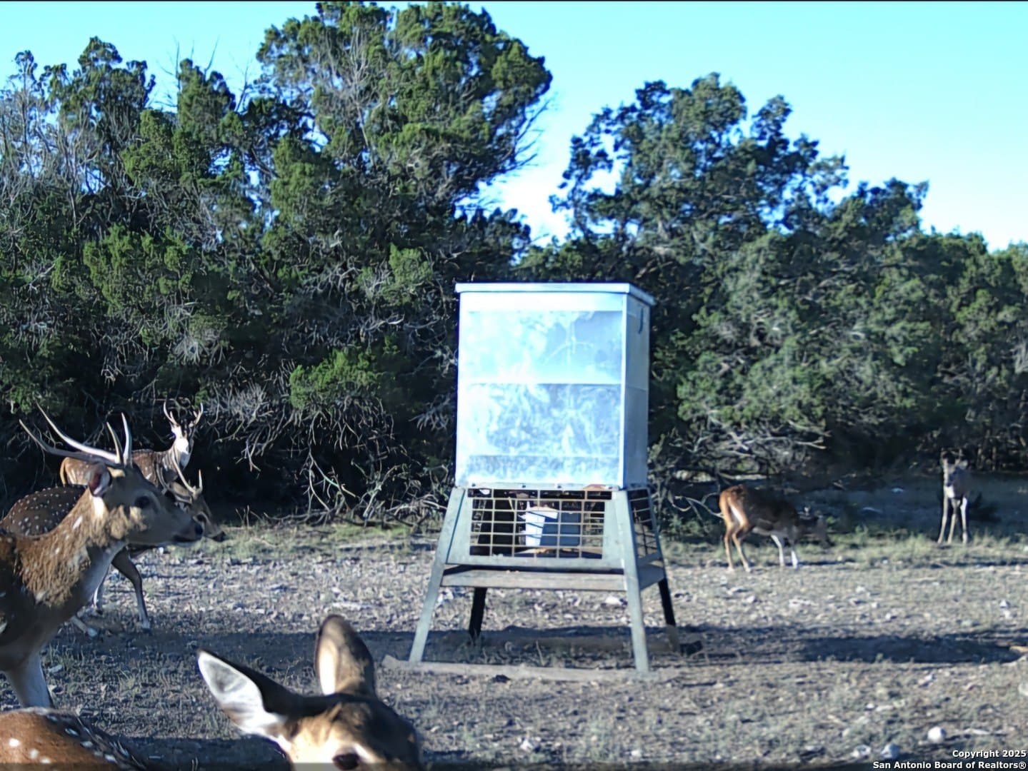 134.5 acres in Edwards County - photo 11