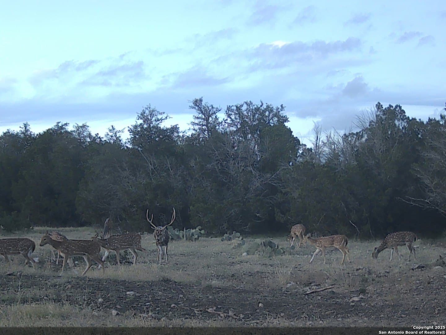 134.5 acres in Edwards County - photo 8