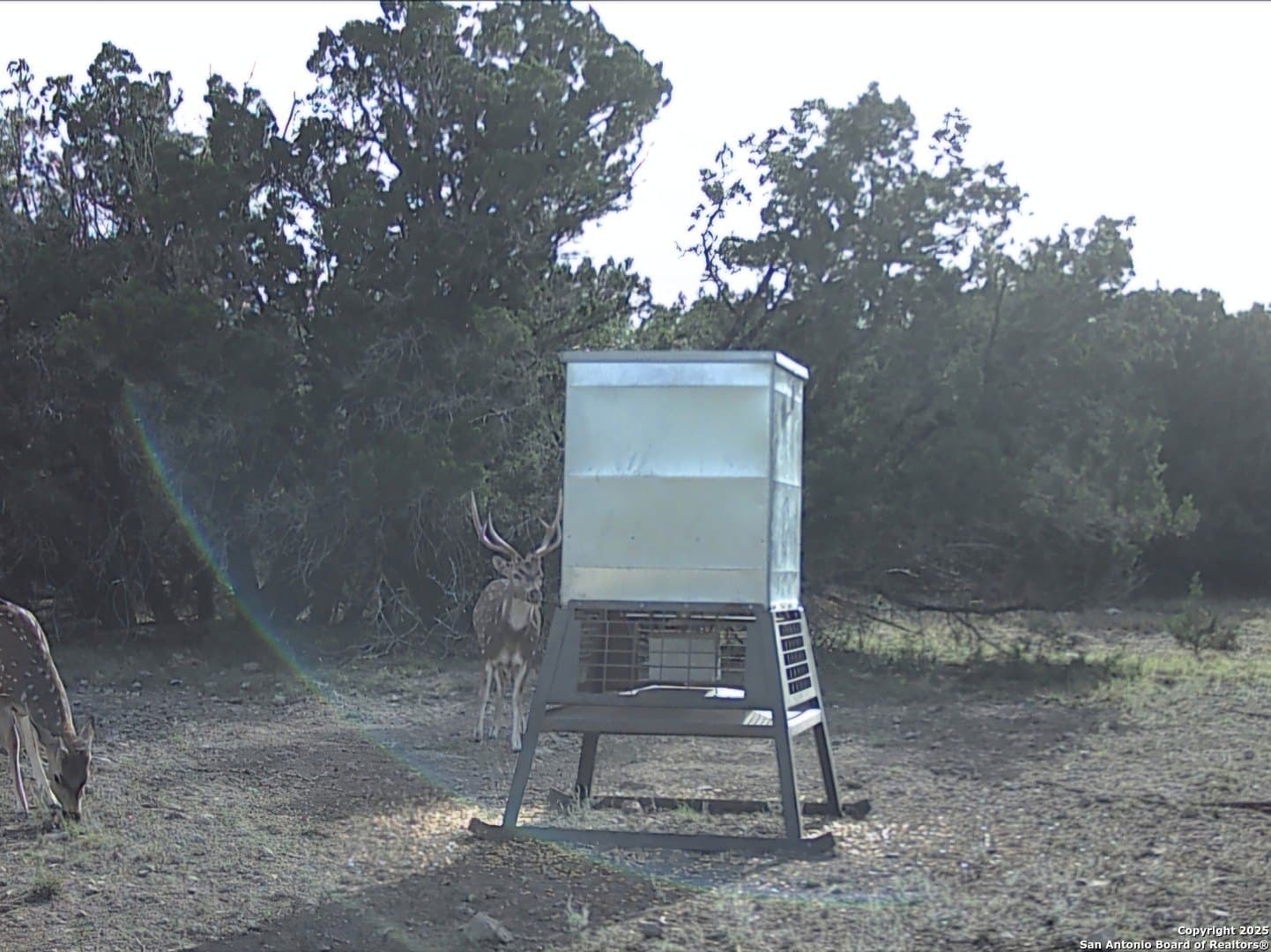 134.5 acres in Edwards County - photo 10