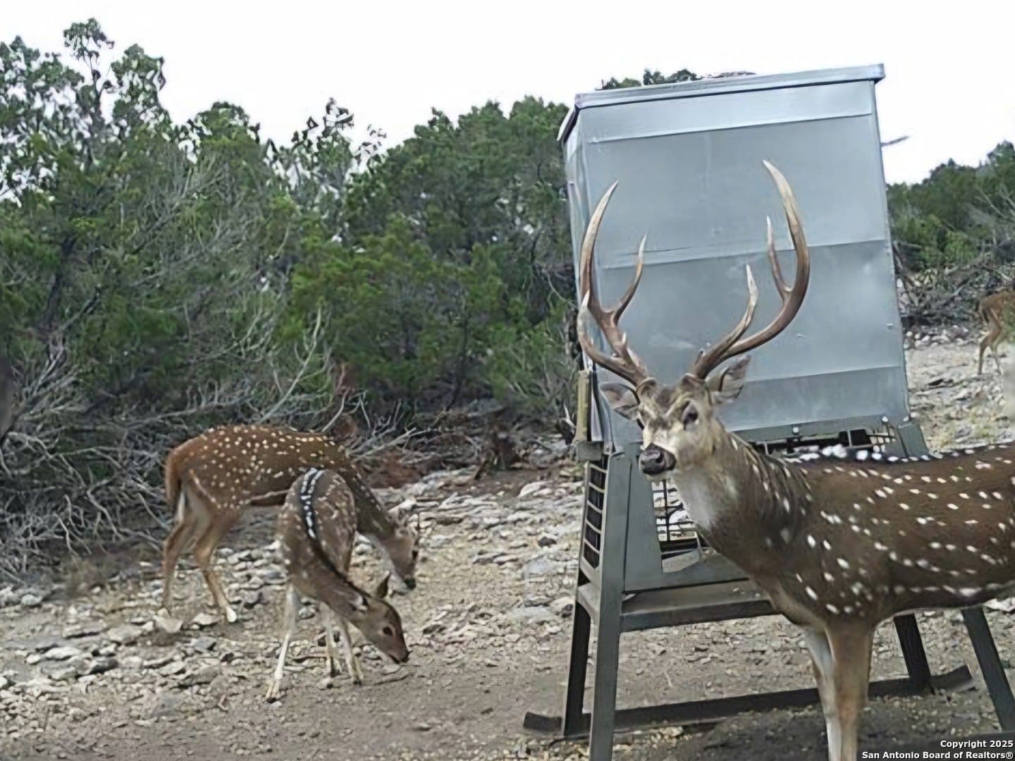 Tbd West Nueces Ranch, Lot 20