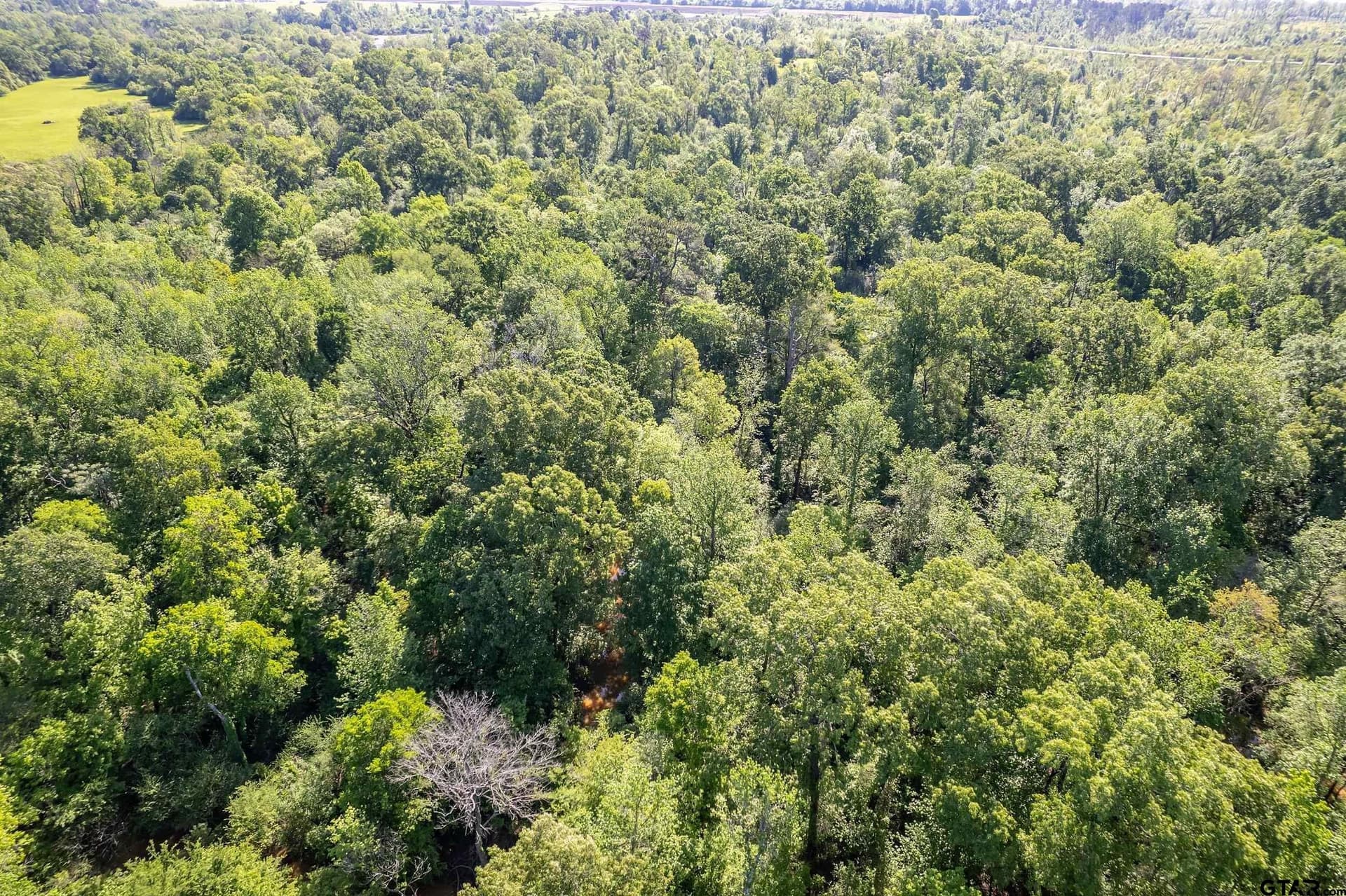 97.5 acres in Cherokee County - photo 16